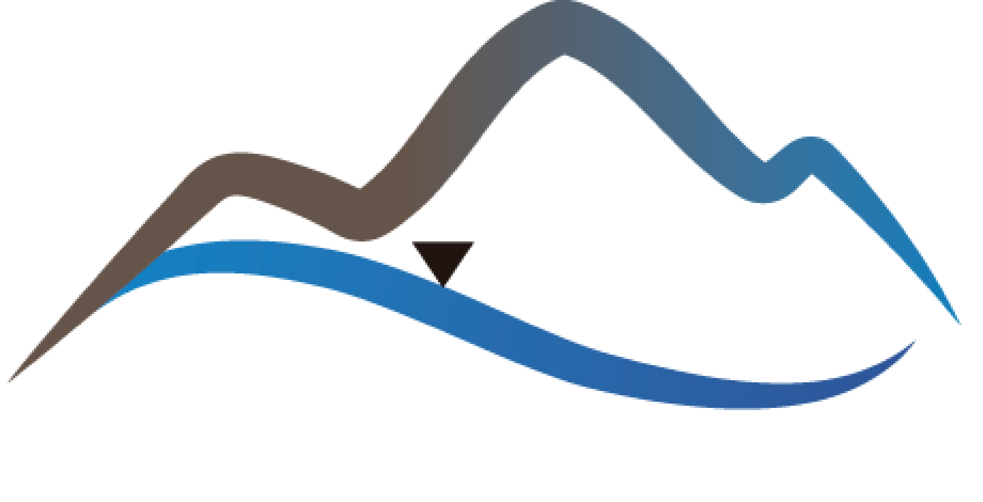 Academi